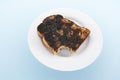 Raisin Toast on Plate Royalty Free Stock Photo