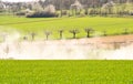 Raising dust from a car, that drove on a n agriculture way in springtime with blooming cherry trees Royalty Free Stock Photo