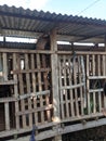 Raising goats, wooden pens where goats are raised