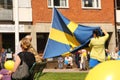 The swedish flag