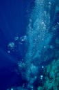 Raising underwater bubbles in the blue sea