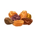 raisins dried fruit cartoon vector illustration Royalty Free Stock Photo