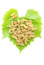 Raisins on fresh grape leaves of heart shape Royalty Free Stock Photo