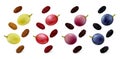 Raisins with grape berries in different colors on white background