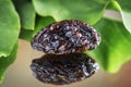 Raisins with reflection. extreme closeup showing detailed texture