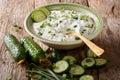 Raita sauce from yogurt with herbs, spices and cucumber close-up in a bowl horizontal Royalty Free Stock Photo