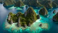 RAJA AMPAT, INDONESIA - CIRCA 2020s - 2020 - Royalty Free Stock Photo