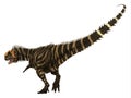 Rajasaurus Dinosaur Tail