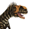 Rajasaurus Dinosaur Head