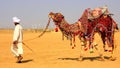 Rajasthan Jaisalmer District Camel Ride