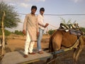 INDIA RAJASTHAN CAMEL CART TRANSPORTATION CULTURE, CAMEL RIDING