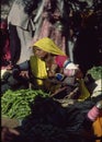 Rajasthani woman in colorful saree weighing vegetables