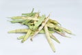 Rajma beans in white background, Satara, Maharashtra