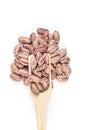 Rajma Chitra (Speckled Kidney Beans), Spotted kidney beans with wooden spoon Royalty Free Stock Photo