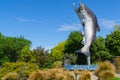 Rakaia welcome salmon