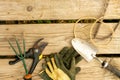 Many garden tools on wood