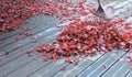 rake in heap of red leaves of japanese maple on patio
