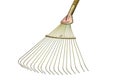 Rake isolated on white background Royalty Free Stock Photo