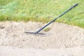 Rake in sand bunker at golf links course green for golfers Royalty Free Stock Photo