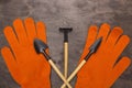 Rake with a shovel and gloves Royalty Free Stock Photo