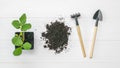 Rake with a shovel, soil and a young plant on a wooden background.