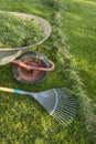Rake and wheelbarrow filled with green grass on the lawn
