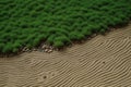 Raked gravel with moss garden design. Generate ai Royalty Free Stock Photo