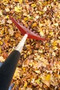 Raking Autumn Leafs POV Royalty Free Stock Photo