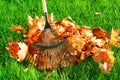 Raking the autumn leaves Royalty Free Stock Photo