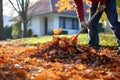 raking and bagging fallen autumn leaves Royalty Free Stock Photo