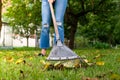 Raking fallen leaves in garden. Gardener woman cleaning lawn from leaves in backyard. Woman standing with rake. Autumnal seasonal Royalty Free Stock Photo