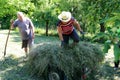 Raking the grass. Farm chores, working on a field and raking the grass Royalty Free Stock Photo