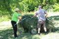 Two men putting the grass on the trailor. Farm chores, working on a field and raking the grass