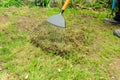Raking a Lawn Royalty Free Stock Photo
