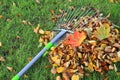raking leaves. Autumn cleaning in the garden. Royalty Free Stock Photo