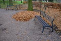 raking leaves on piles. the leaves are taken to a composting Royalty Free Stock Photo