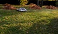 Raking leaves on piles. the leaves are taken to a composting plant or to a community composter. cleaning the yard behind the house Royalty Free Stock Photo