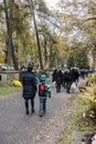 Rakowicki Cemetery, Krakow, Poland.