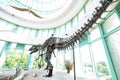 Raleigh, NC - USA - 5-10-2023: Dinosaur exhibit at the Museum of Natural Sciences , one of the most visited attractions in