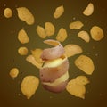 Ralistic potato chips. Royalty Free Stock Photo