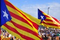 Rally in support for the independence of Catalonia in Barcelona,