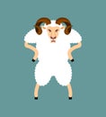 Ram angry. Sheep evil emoji. Farm animal aggressive. Vector illustration Royalty Free Stock Photo