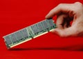 Ram dimm in hand Royalty Free Stock Photo