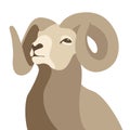 Ram head face vector illustration flat style