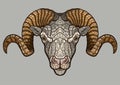 Ram head mascot Royalty Free Stock Photo