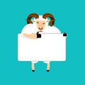 Ram holding banner blank. Sheep and white blank. Farm animal thu Royalty Free Stock Photo