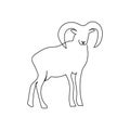 Ram one line art. Continuous line drawing of horned mutton.