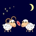 A ram presenting a sheep a flower Royalty Free Stock Photo