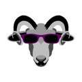 Ram sheep face in glasses vector illustration flat style