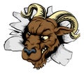 Ram sports mascot breakthrough Royalty Free Stock Photo